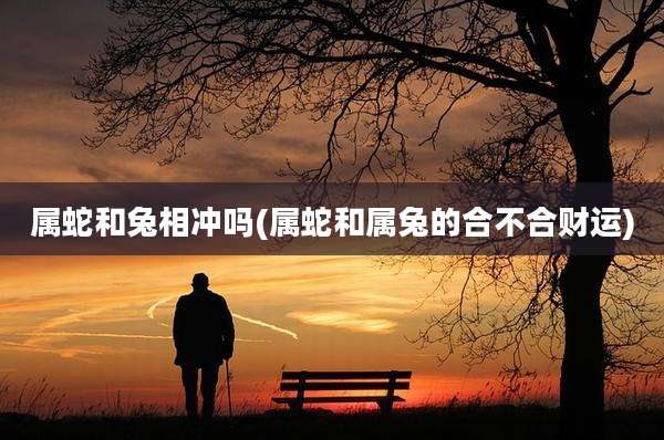 属蛇和兔相冲吗(属蛇和属兔的合不合财运)