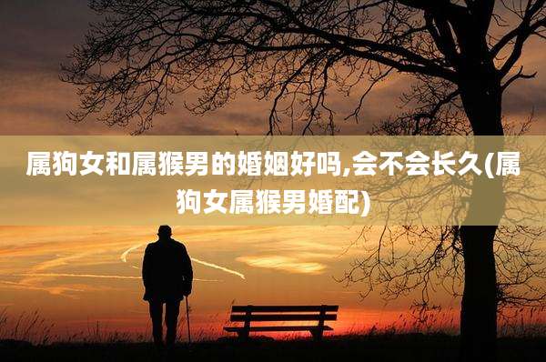 属狗女和属猴男的婚姻好吗,会不会长久(属狗女属猴男婚配)