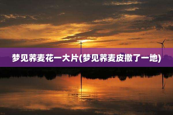 梦见荞麦花一大片(梦见荞麦皮撒了一地)