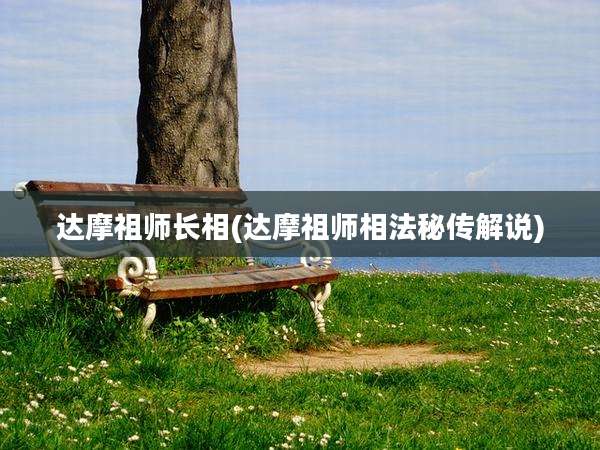 达摩祖师长相(达摩祖师相法秘传解说)