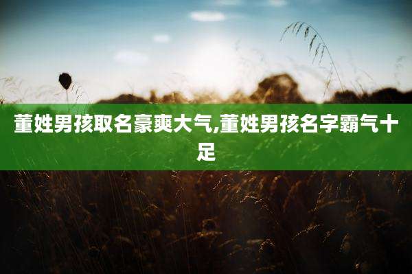 董姓男孩取名豪爽大气,董姓男孩名字霸气十足