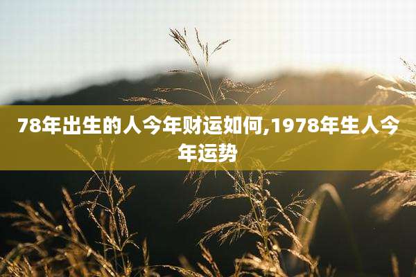 78年出生的人今年财运如何,1978年生人今年运势