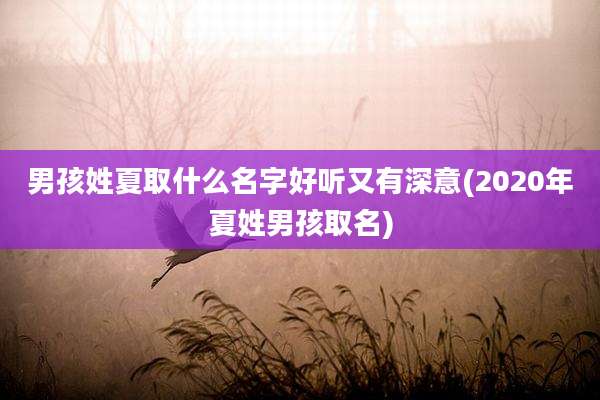 男孩姓夏取什么名字好听又有深意(2020年夏姓男孩取名)