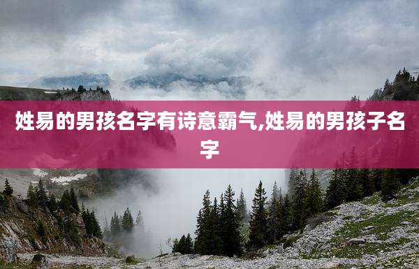 姓易的男孩名字有诗意霸气,姓易的男孩子名字