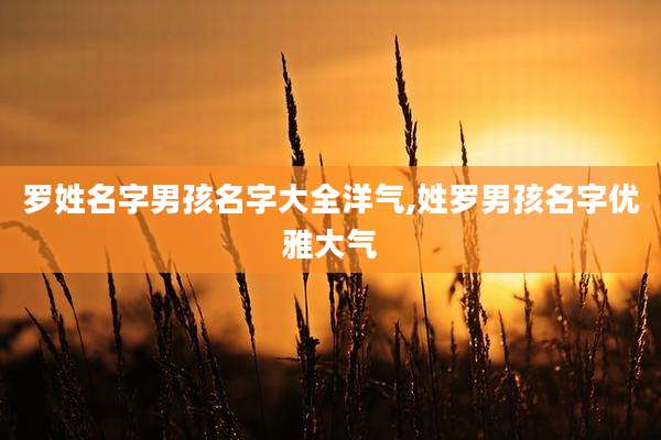 罗姓名字男孩名字大全洋气,姓罗男孩名字优雅大气