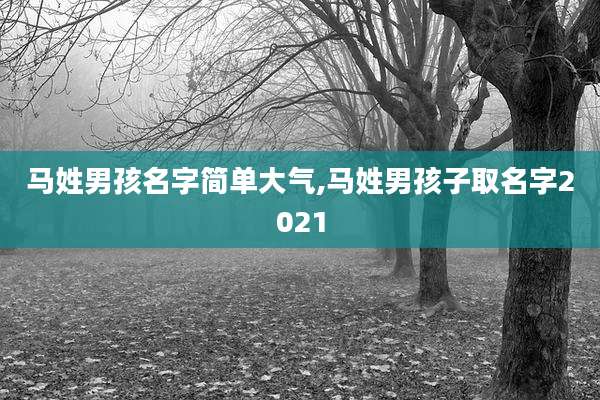 马姓男孩名字简单大气,马姓男孩子取名字2021