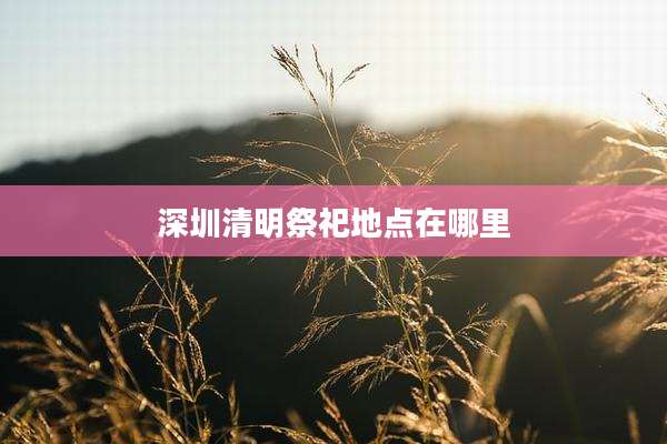 深圳清明祭祀地点在哪里
