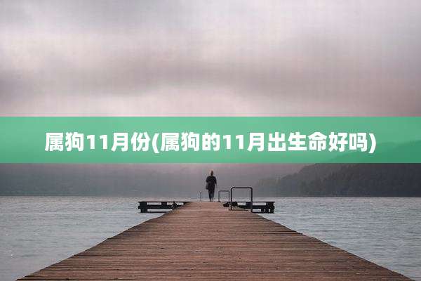 属狗11月份(属狗的11月出生命好吗)