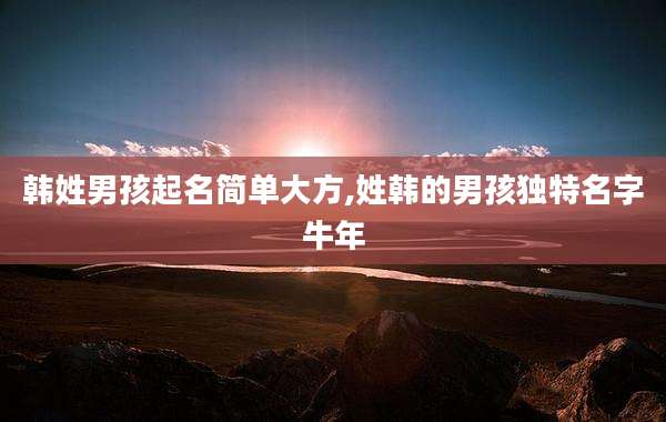 韩姓男孩起名简单大方,姓韩的男孩独特名字牛年