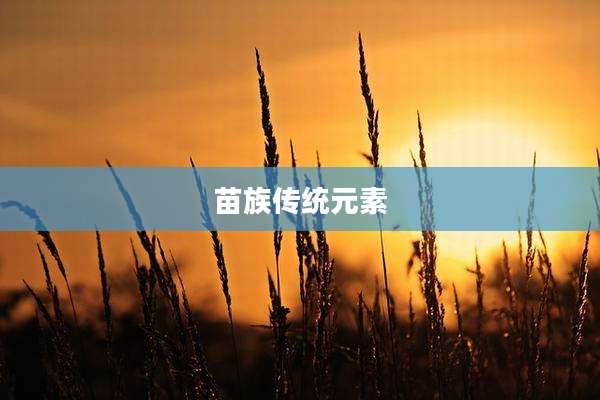 苗族传统元素