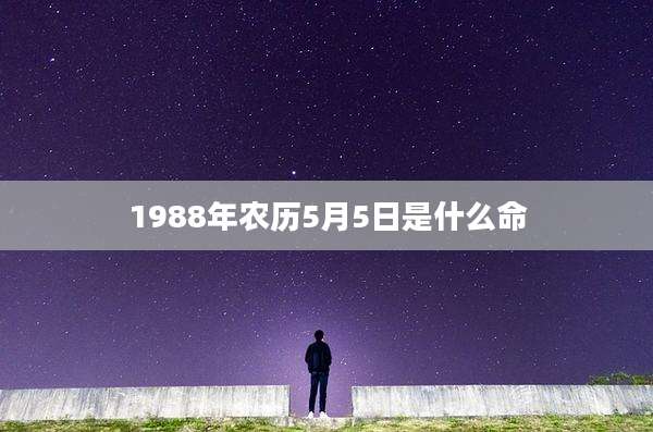 1988年农历5月5日是什么命