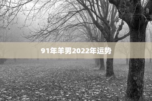 91年羊男2022年运势