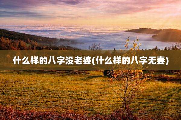 什么样的八字没老婆(什么样的八字无妻)