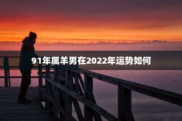 91年属羊男在2022年运势如何