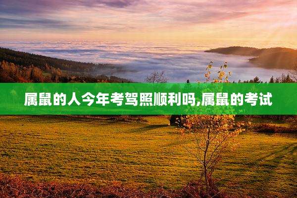 属鼠的人今年考驾照顺利吗,属鼠的考试