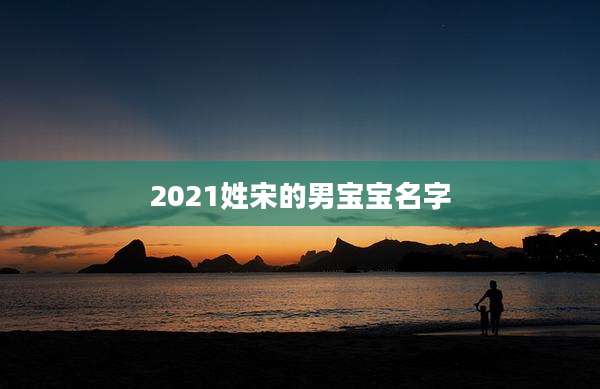 2021姓宋的男宝宝名字