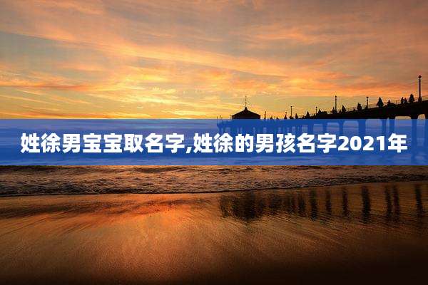姓徐男宝宝取名字,姓徐的男孩名字2021年