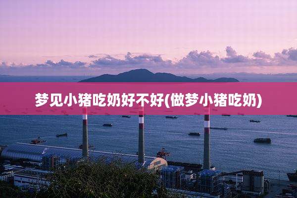 梦见小猪吃奶好不好(做梦小猪吃奶)