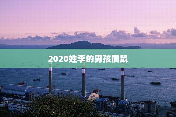 2020姓李的男孩属鼠