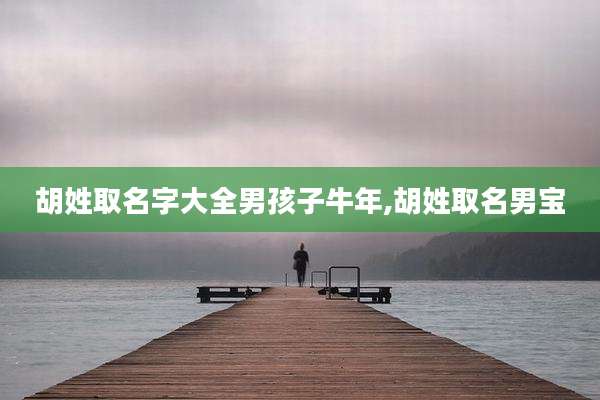胡姓取名字大全男孩子牛年,胡姓取名男宝