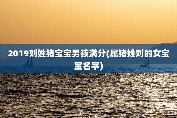 2019刘姓猪宝宝男孩满分(属猪姓刘的女宝宝名字)