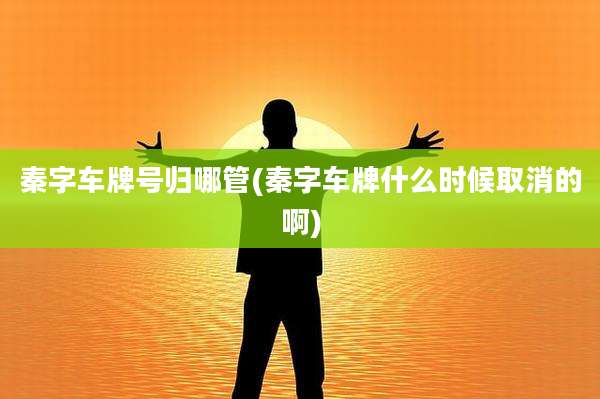 秦字车牌号归哪管(秦字车牌什么时候取消的啊)