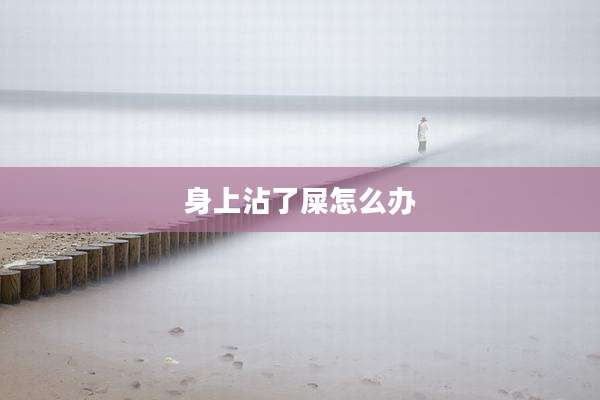 身上沾了屎怎么办