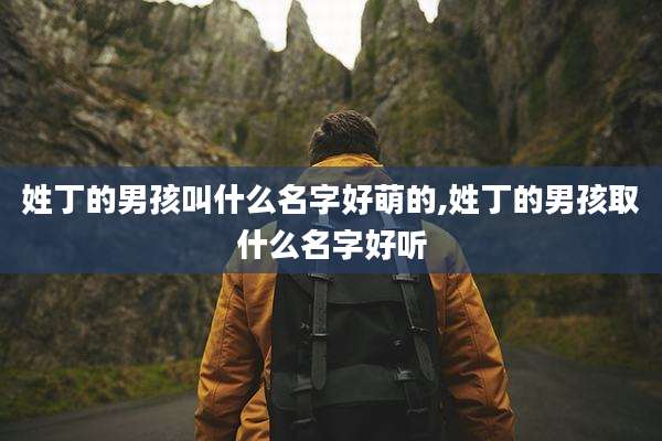 姓丁的男孩叫什么名字好萌的,姓丁的男孩取什么名字好听