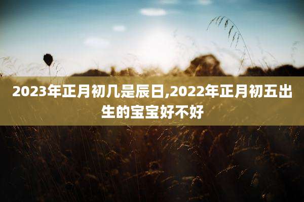 2023年正月初几是辰日,2022年正月初五出生的宝宝好不好