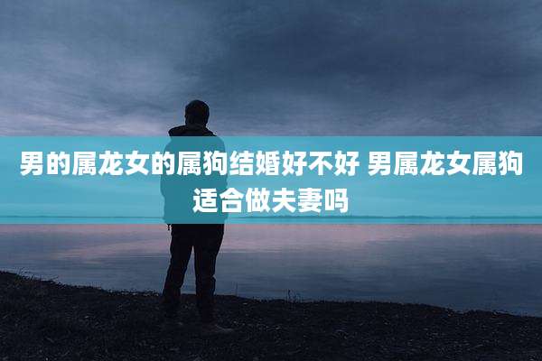 男的属龙女的属狗结婚好不好 男属龙女属狗适合做夫妻吗