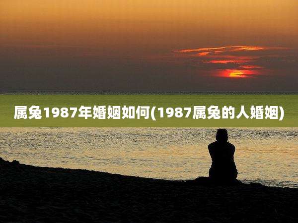 属兔1987年婚姻如何(1987属兔的人婚姻)