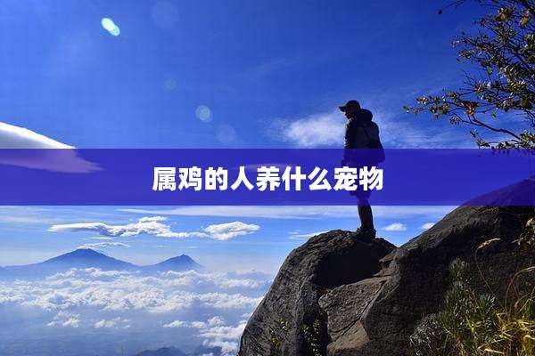 属鸡的人养什么宠物