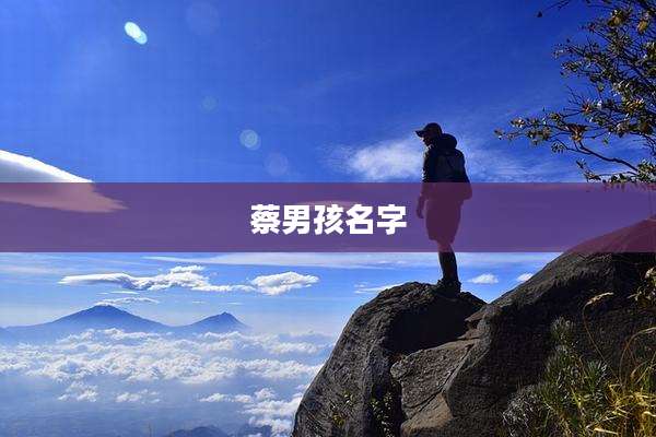 蔡男孩名字