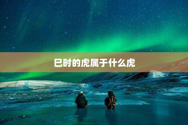 巳时的虎属于什么虎