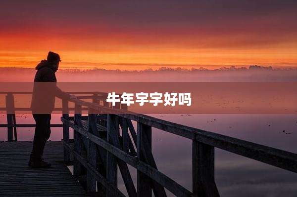 牛年宇字好吗