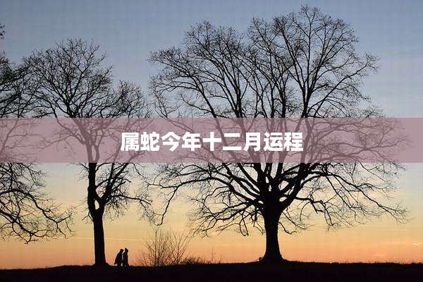 属蛇今年十二月运程