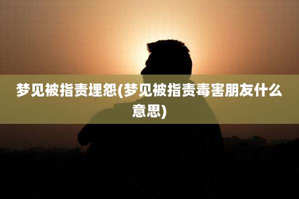梦见被指责埋怨(梦见被指责毒害朋友什么意思)
