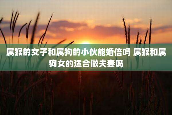 属猴的女子和属狗的小伙能婚倍吗 属猴和属狗女的适合做夫妻吗