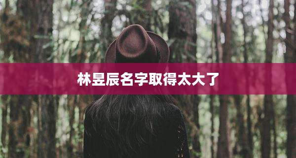 林昱辰名字取得太大了