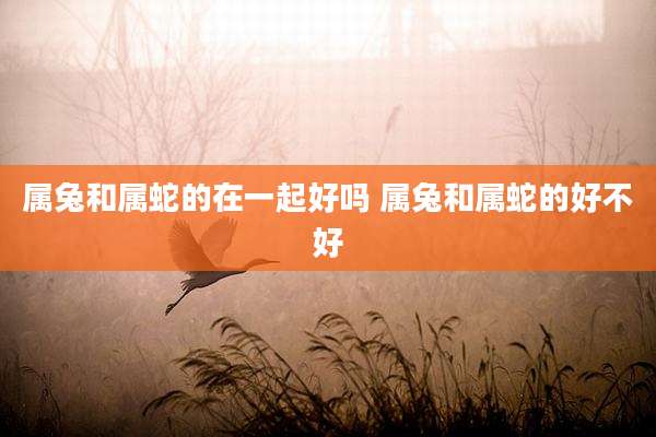 属兔和属蛇的在一起好吗 属兔和属蛇的好不好