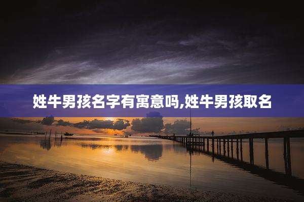 姓牛男孩名字有寓意吗,姓牛男孩取名