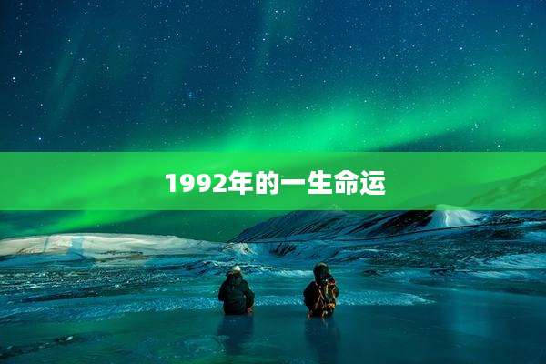 1992年的一生命运