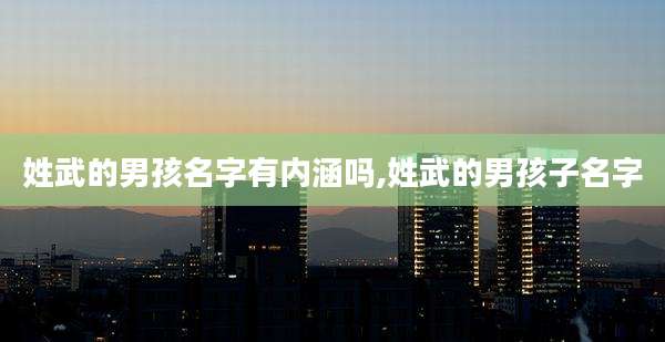 姓武的男孩名字有内涵吗,姓武的男孩子名字