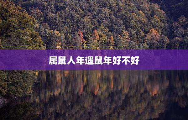 属鼠人年遇鼠年好不好