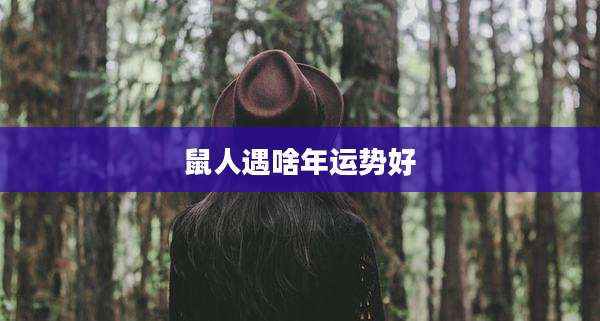 鼠人遇啥年运势好