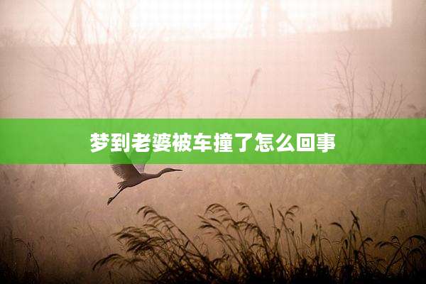 梦到老婆被车撞了怎么回事