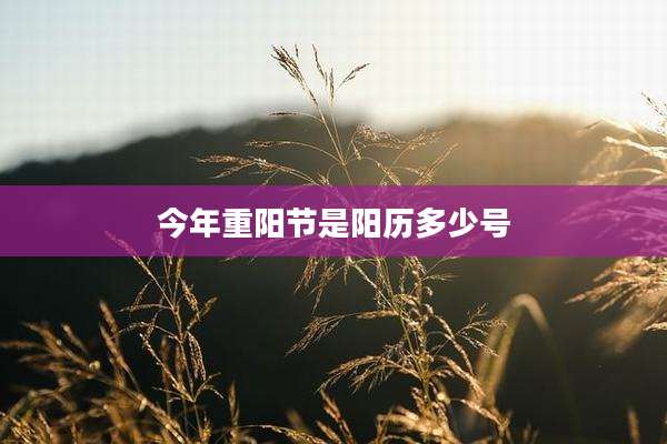 今年重阳节是阳历多少号