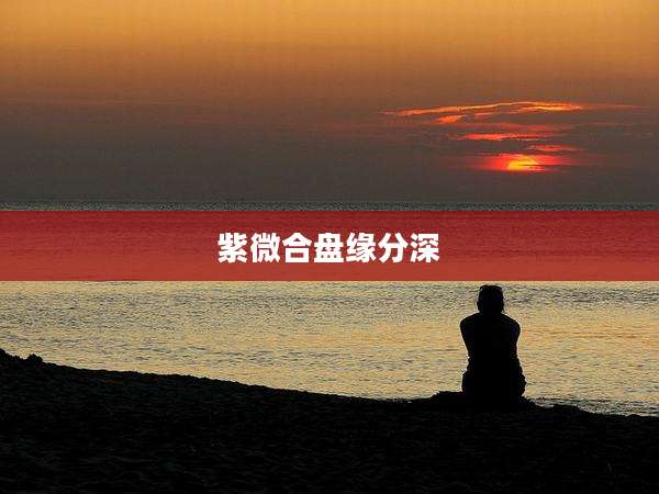 紫微合盘缘分深