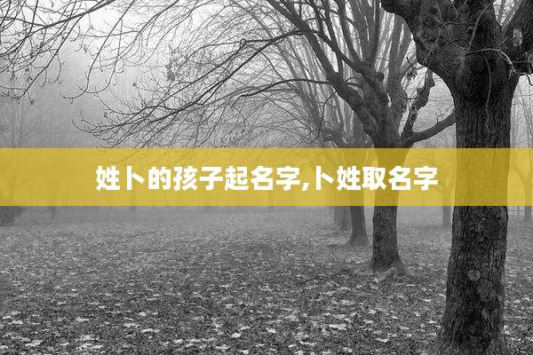 姓卜的孩子起名字,卜姓取名字