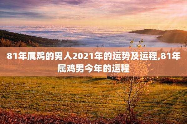 81年属鸡的男人2021年的运势及运程,81年属鸡男今年的运程
